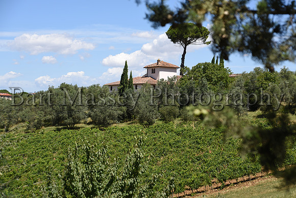 Chianti (108 of 387)