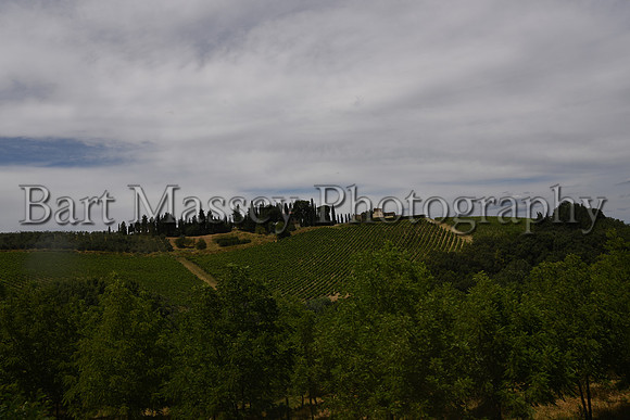 Chianti (245 of 387)