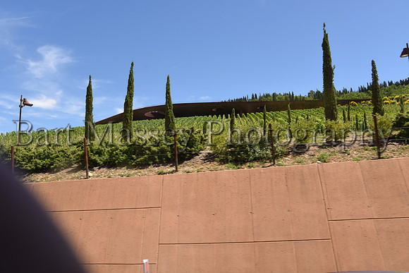 Chianti (118 of 387)