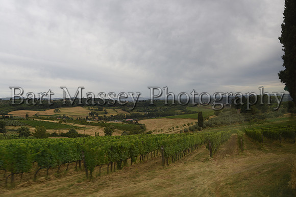Chianti (379 of 387)