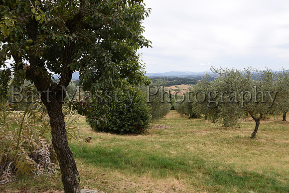 Chianti (297 of 387)