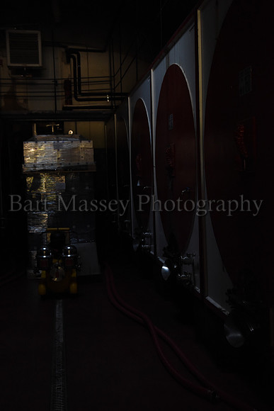 Chianti (65 of 387)